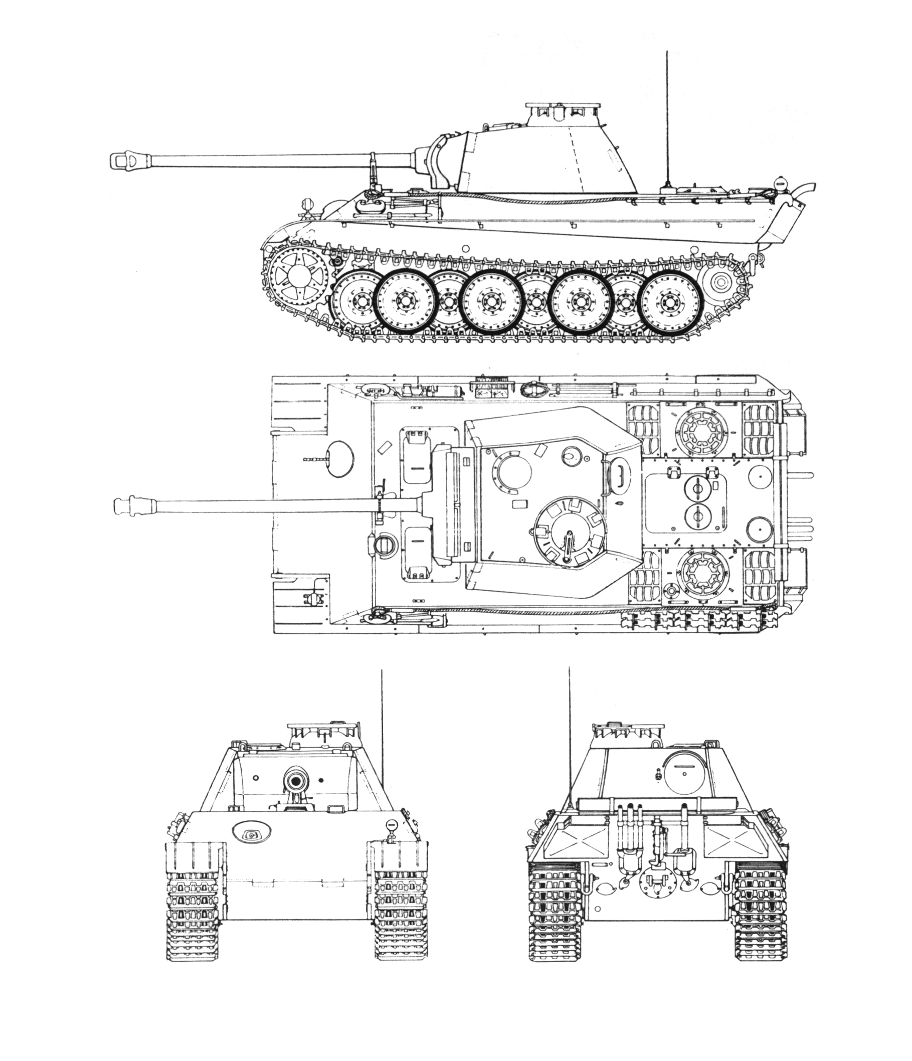 Scale Drawing