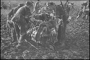 German army mules carrying supplies in the Caucasus